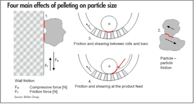 Figure 1: Friction and shearing forces affecting particle size during pelleting: 1. Friction forces between particles and the die-hole-wall. 2. Friction forces between particles. 3. Friction forces between rolls and bars. 4. Friction and shearing at the product feed. (Courtesy Bühler Group)
