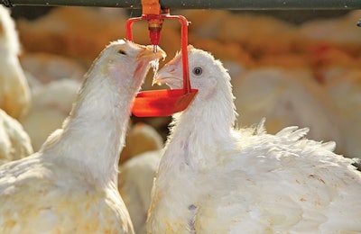 (Zhang Yongxin | iStockPhoto.com)