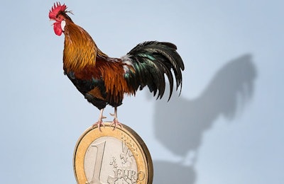Europe’s poultry companies continue to invest and grow, focusing both on home and overseas markets. (D-Keine | iStock.com)