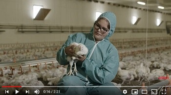 Image courtesy of DuPont Danicso Animal Nutrition