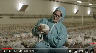 Antibiotic-free feed management, a Scandinavian example