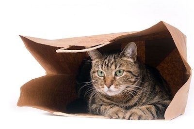 (EEI_Tony | BigStock.com)