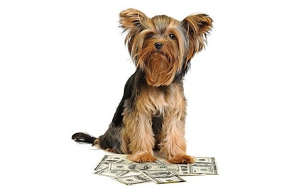 (scorpp, BigStock.com)