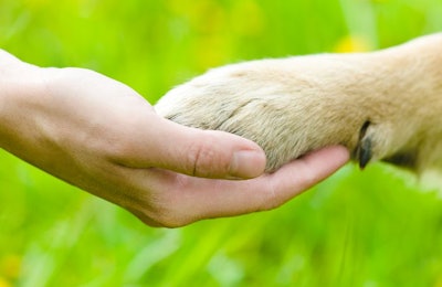 (Ermolaev Alexander | Shutterstock.com)