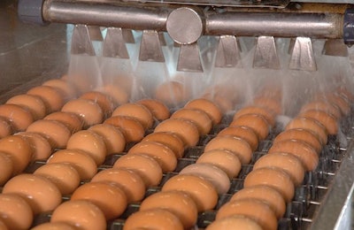 Food safety is a critical part of egg production and it is essential in providing consumers with a safe and healthy product. (chayakorn76, BigStock.com)