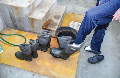 Use dedicated footwear at each house and change footwear before entering the house to visit flocks. | Cobb-Vantress, Inc.