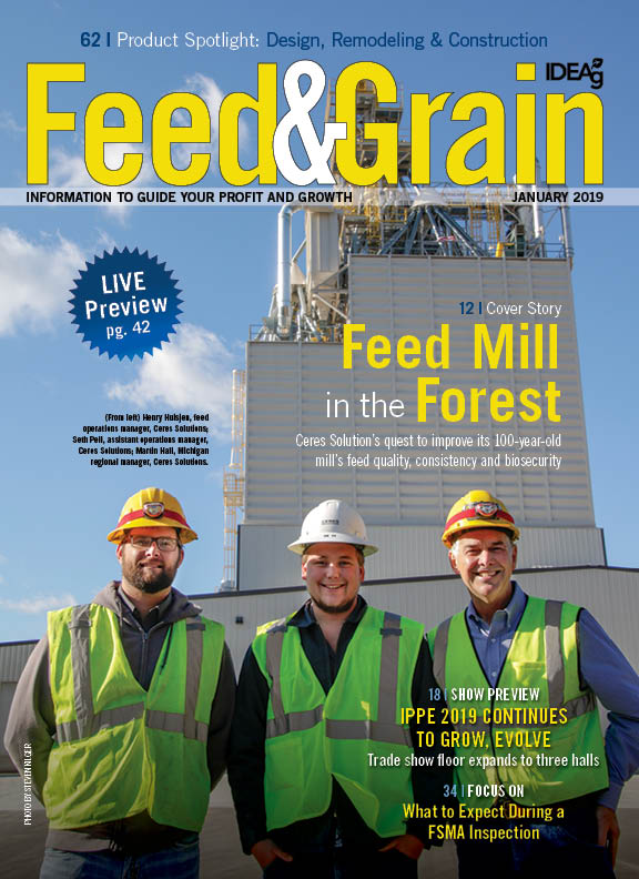 feed和Grain2019年1月