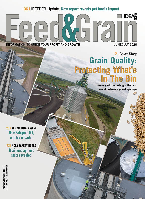 Feed和Grain 2020年6/7月