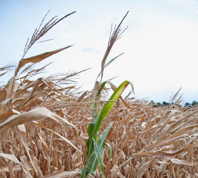 Photo courtesy of USDA