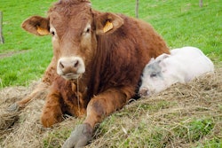 11910205046 d9844787b2 b