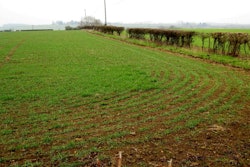 Nigel Mykura; Creative Commons Licence.