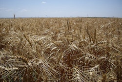 C. K. Hartman, Creative Commons