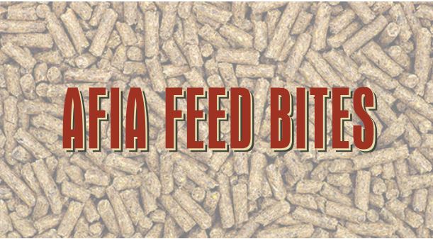 AFIA feed bites
