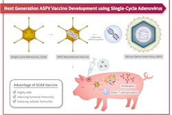 ASFV subunit vaccine