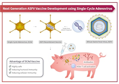 ASFV subunit vaccine