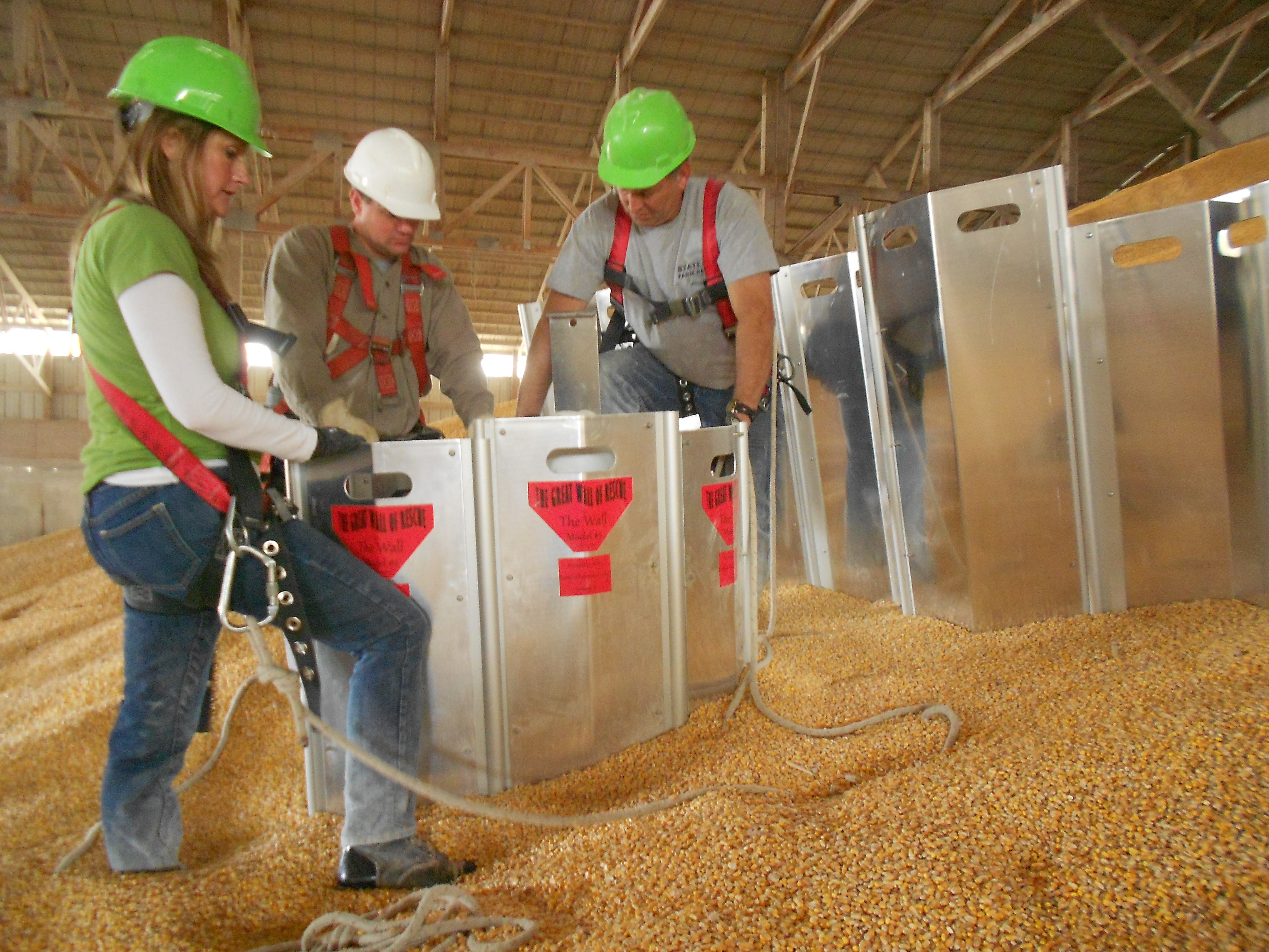 编组为Tube和Wall