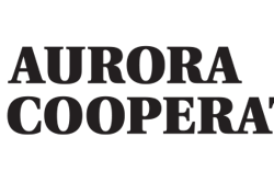 Aurora Logo1