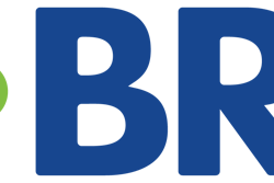 BRI logo Color