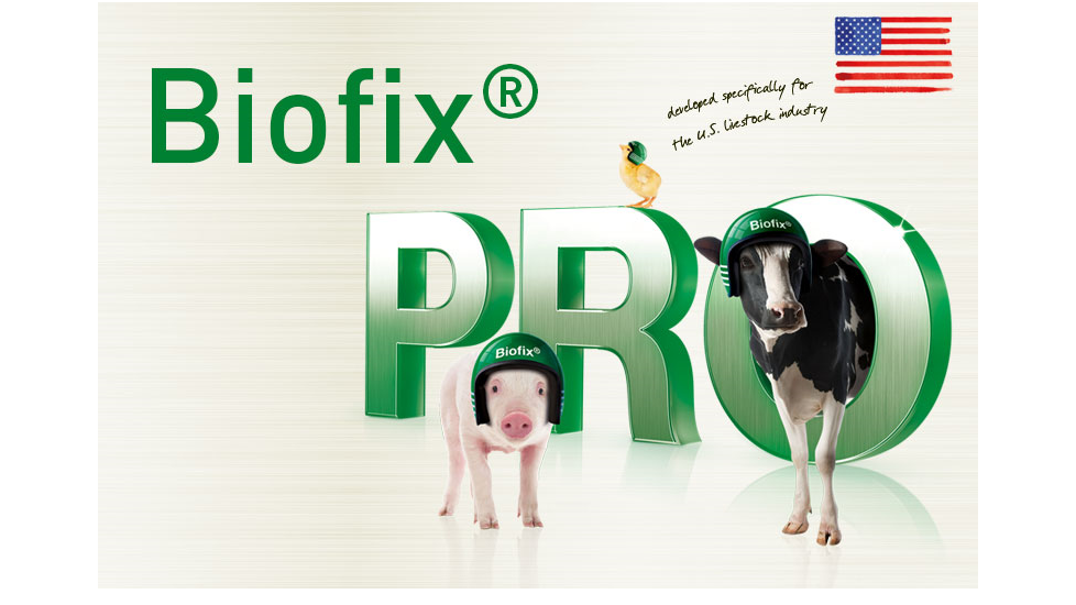 BiofixPROEN800x533px