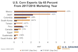 Corn YOY Growth