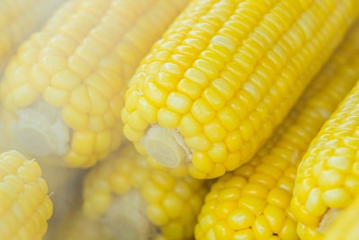 Corn pexels neosiam 603030