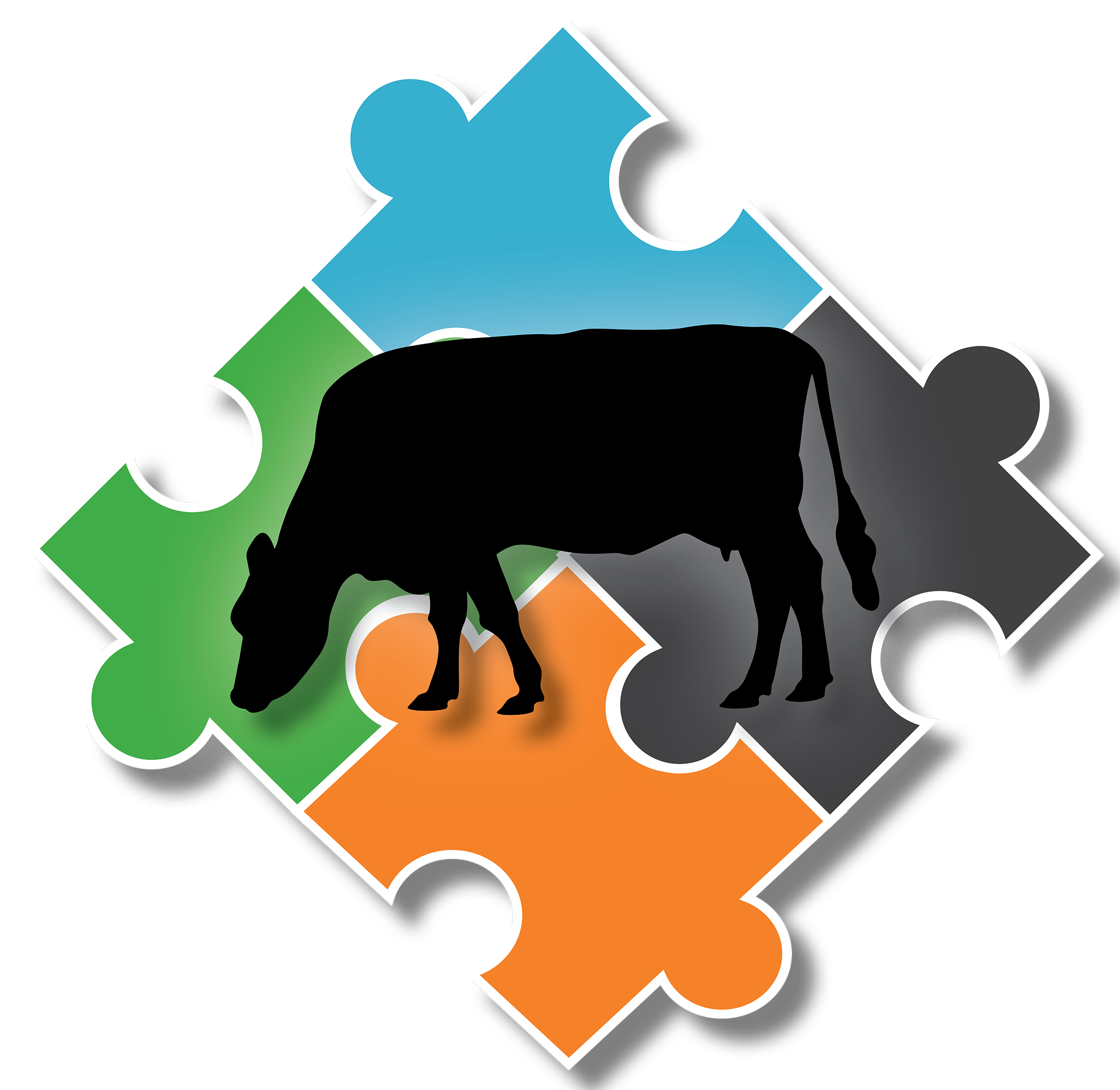 Cow Over Puzzle Pieces2
