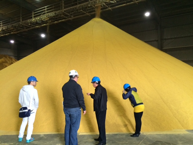 DDGSSEA出口交换队