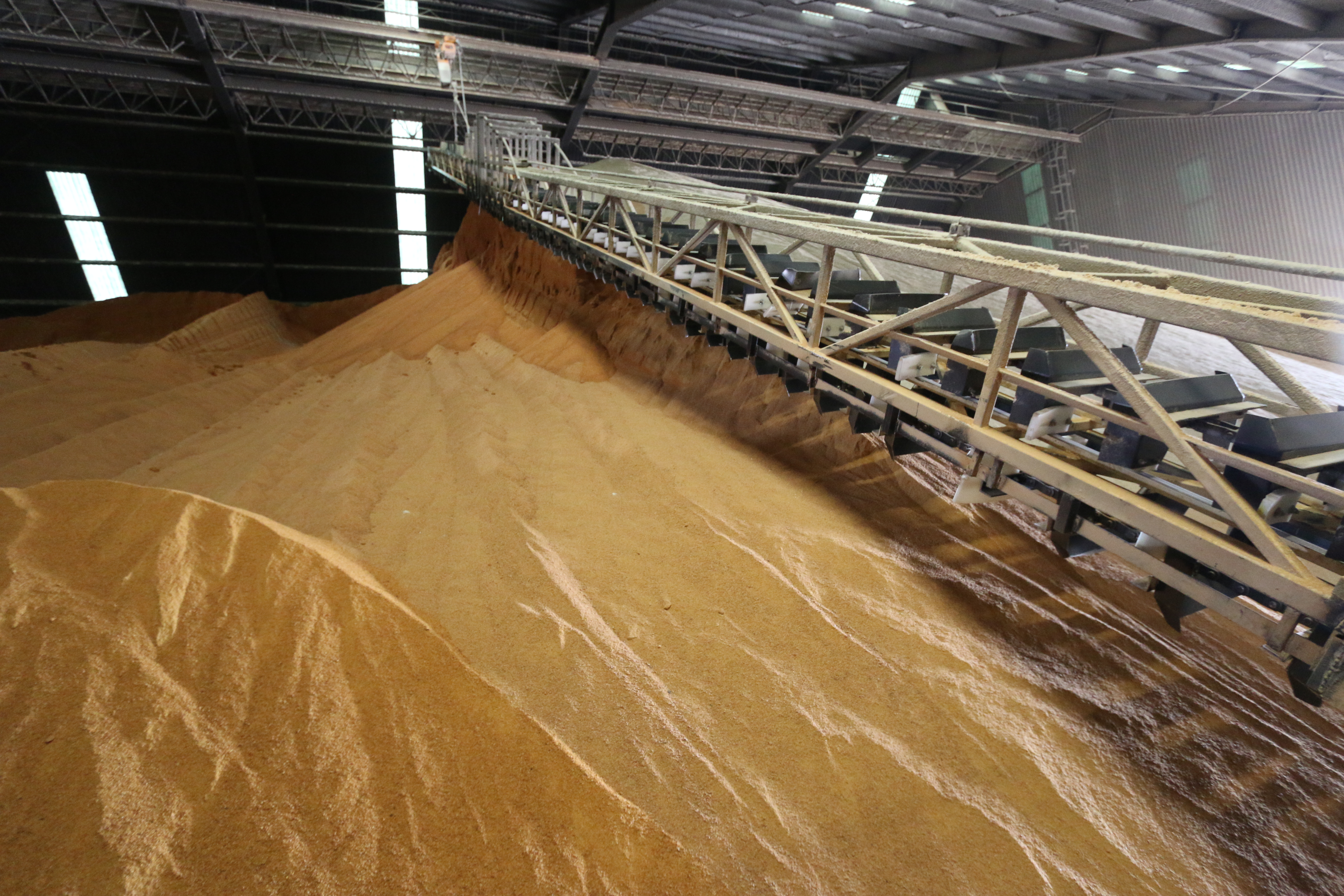 Photo: File Photo/USGC