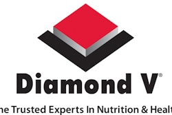 Diamond V logo