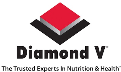 Diamond V logo