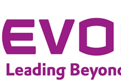 Evonik brand mark Deep Purple RGB