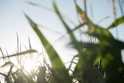 Photo: Land O'Lakes Inc.