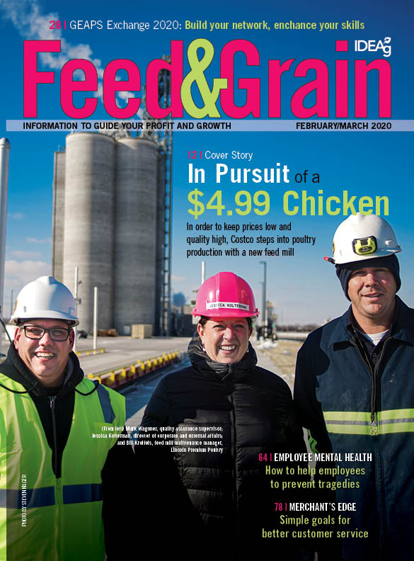 Feed和Grain2020年2月/3月