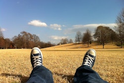 Field Feet