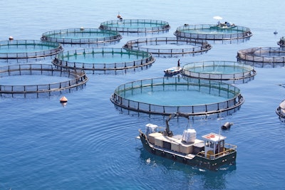 Fish Farm