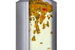 GSI Grain Viz image1