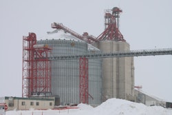 Photo by Elise Schafer