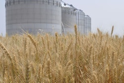 H and I Grain