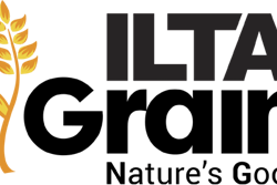 ILTA Grain logo