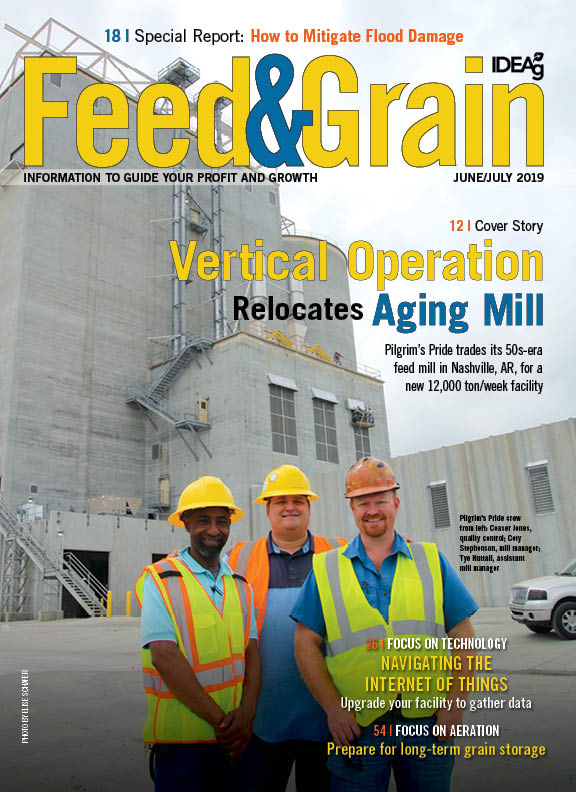 feed和Grain2019年6月/7月