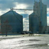 After a trial period, Kalmbach Feeds purchased more than a dozen VMSAC 1200 coated vibrators for use in the MPK Complex.(Courtesy of Cleveland Vibrator Company)
