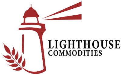 Lighthouse logo