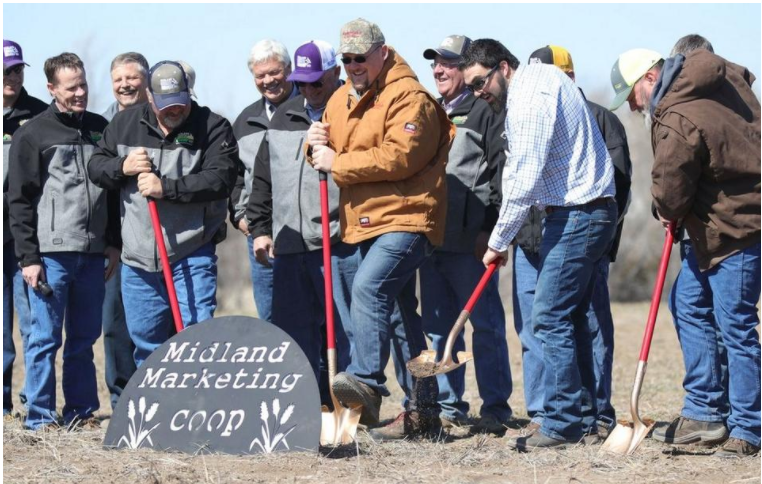 Juno Ogle Juno@dailynews.