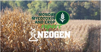 Monday Mycotoxin1