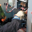 NFPA70 E Box Checking Arc Flash 1