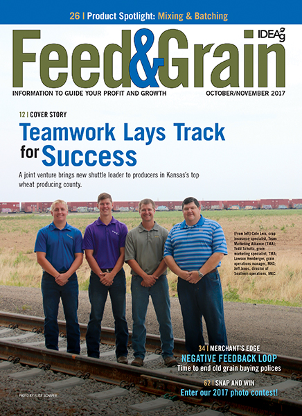 Feed和Grain2017年10月/11月