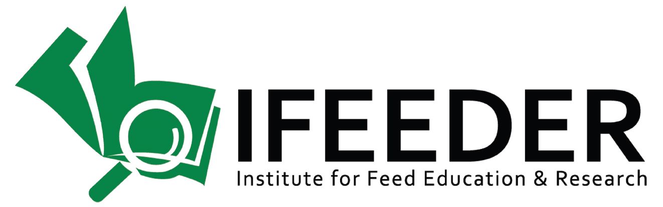 11月17日IFEDERupdateLogo