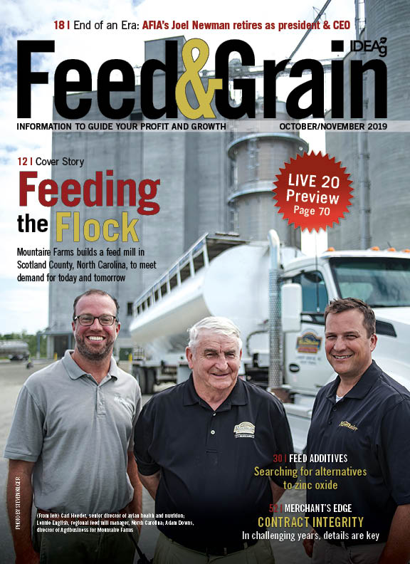 feed和Grain2019年10月/11月