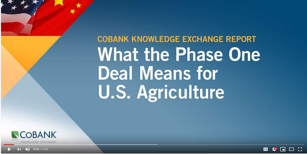 Phase One Cobank video screen shot