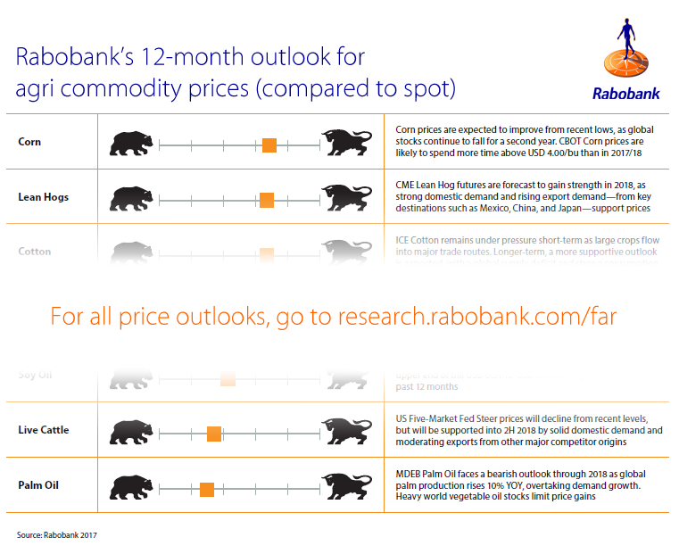 Rabobank ACMR2018 bull bear slider condensed